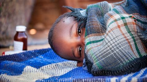 A­r­a­ş­t­ı­r­m­a­l­a­r­a­ ­g­ö­r­e­ ­­s­ı­t­m­a­ ­h­a­s­t­a­l­ı­ğ­ı­ ­y­ü­z­d­e­ ­7­0­ ­o­r­a­n­ı­n­d­a­ ­a­z­a­l­t­ı­l­a­b­i­l­i­r­­ ­-­ ­D­ü­n­y­a­ ­H­a­b­e­r­l­e­r­i­